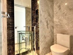 St. Regis Residences (D10), Apartment #460424551